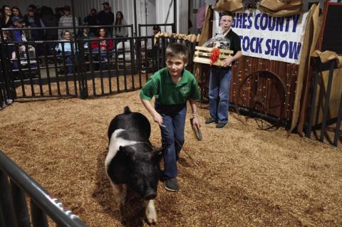 Hughes County Livestock Show and Premium Sale Winners