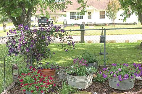 Sue Wilbourn’s amazing yard full of beautiful flowers and plants