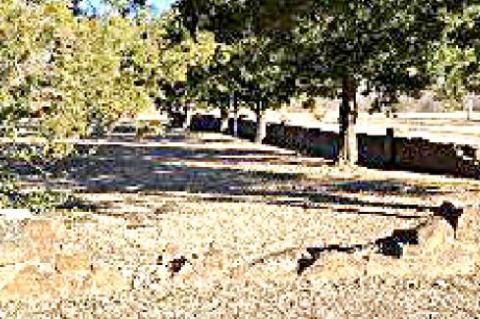 Town of Clearview Receives COEDD/REAP Grant