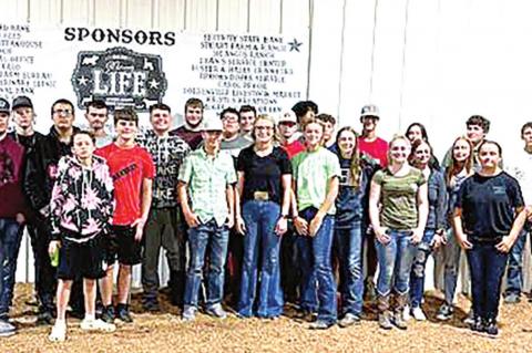 County Fair Livestock Judging Winners