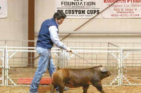 Wetumka local livestock show