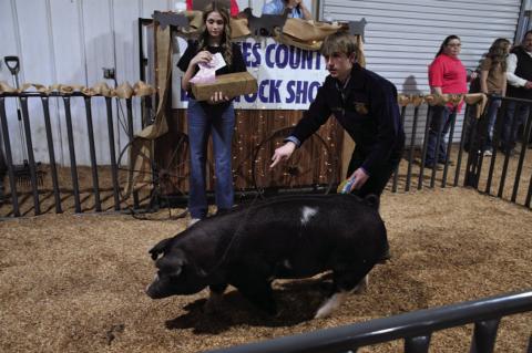 Hughes County Livestock Show and Premium Sale Winners