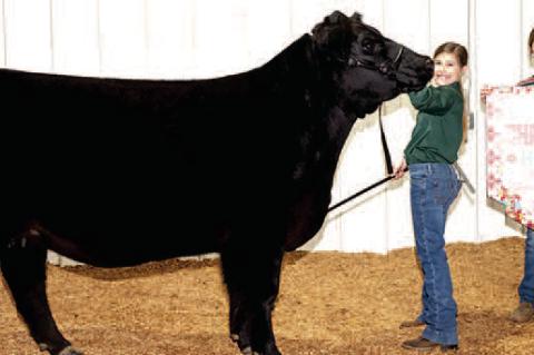 WETUMKA STUDENT SAIGE GLOVER recently won Reserve Grand Champion for her Heifer.