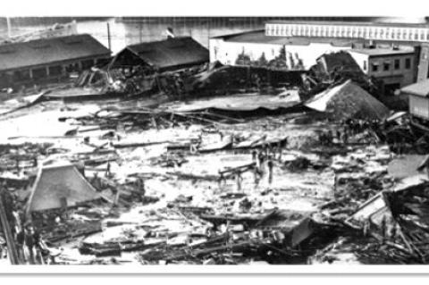 A GIANT WAVE OF MOLASSES ONCE FLOODED THE STREETS OF BOSTON