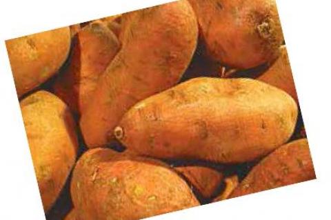 Article Image Alt Text