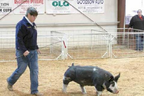 Wetumka local livestock show