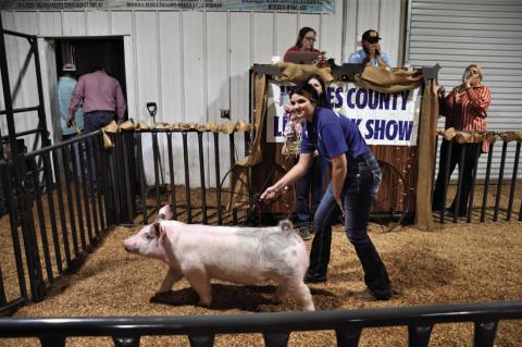 Hughes County Livestock Show and Premium Sale Winners