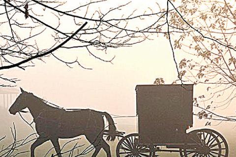 The Amish Cook: Pizza spaghetti a hit at the Yoders