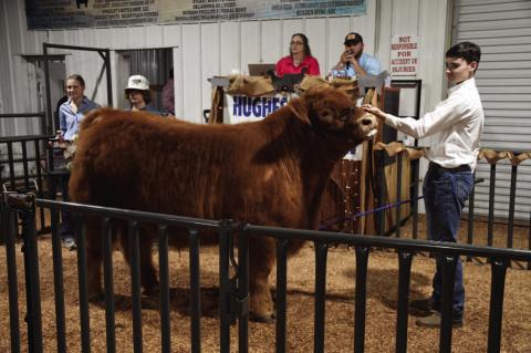 Hughes County Livestock Show and Premium Sale Winners