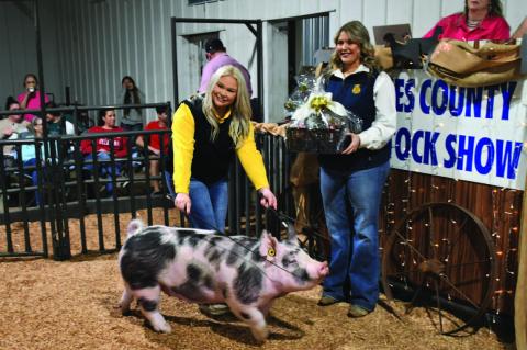 Hughes County Livestock Show
