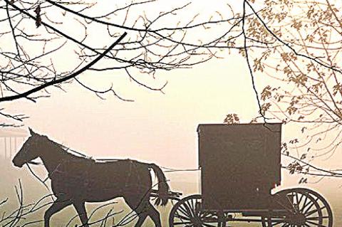 The Amish Cook: Gloria Yoder Talks School Start and Serves Up Delicious Der Dutchman Marinated Carrots