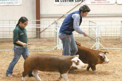 Wetumka local livestock show