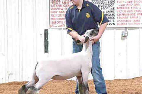 Moss local livestock show highlights