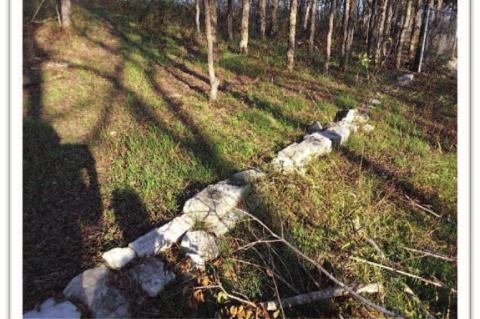 Journey Into Tannehill History: An Epic Search for Roots