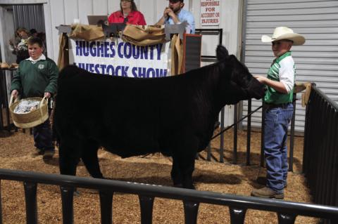 Hughes County Livestock Show and Premium Sale Winners