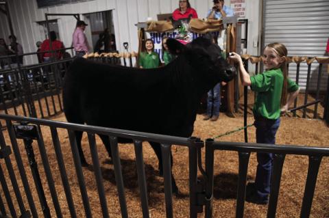 Hughes County Livestock Show and Premium Sale Winners