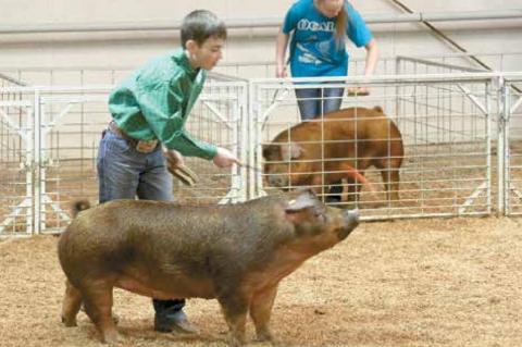 Wetumka local livestock show