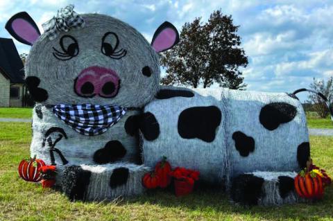 Couple Creates Incredible Hay Bale Scluptures