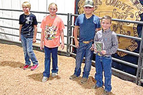 County Fair Livestock Judging Winners