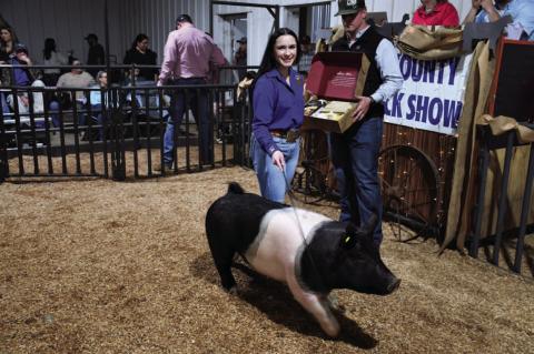 Hughes County Livestock Show and Premium Sale Winners