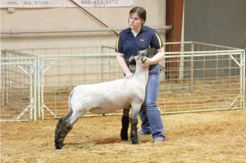 Wetumka local livestock show