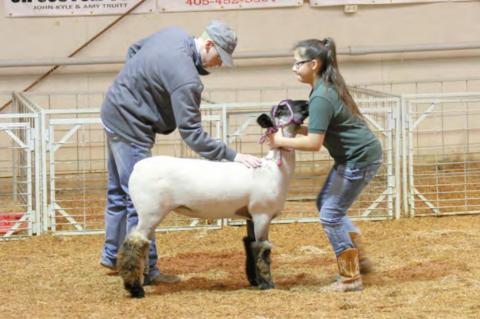 Wetumka local livestock show