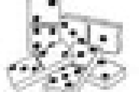 Alpha Phi Alpha Holiday Luncheon Clearview Residents