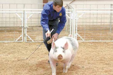 Wetumka local livestock show