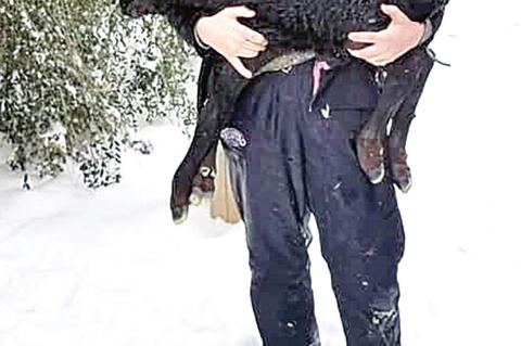 Snow picture contest winners announced!