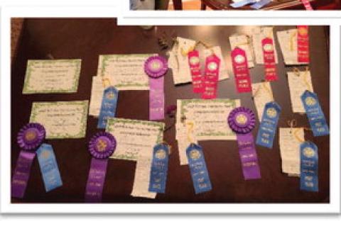Okfuskee County Free Fair