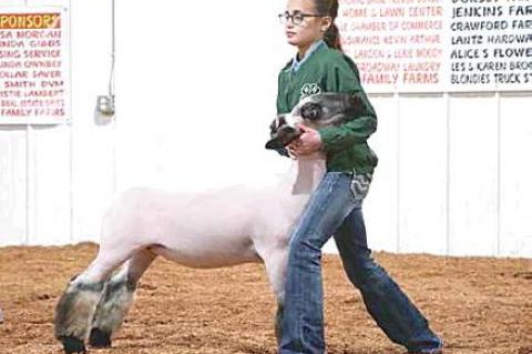 Moss local livestock show highlights