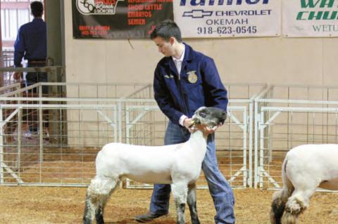 Wetumka local livestock show