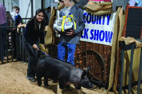 Hughes County Livestock Show