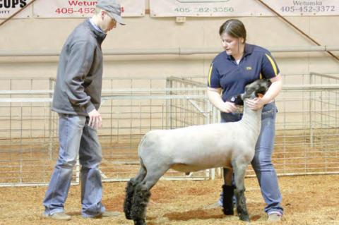 Wetumka local livestock show