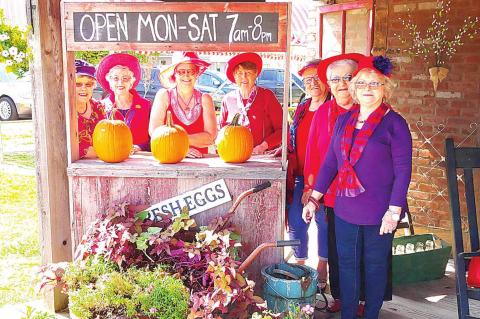 Red Hatters enjoy dining at Tomato Patch Cafe