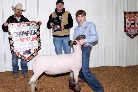 Hughes County Junior Livestock Show Tate Kesse - Grand Champion Whether Lamb