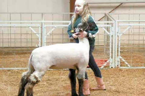 Wetumka local livestock show