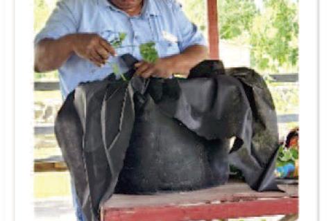 Climate Resilient Farming & Living