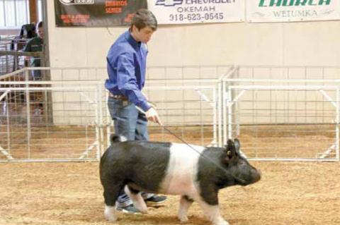 Wetumka local livestock show