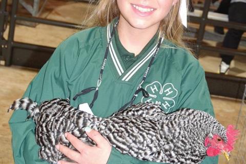 Blue Ribbon Chickens are Egg-cellent!