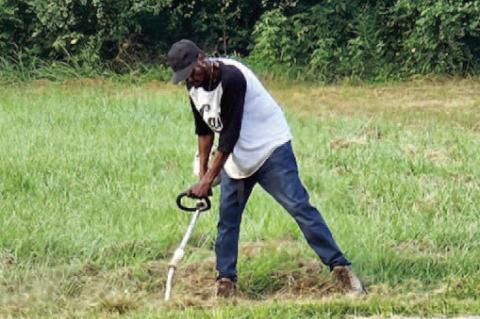 Clearview Cleanup Campaign