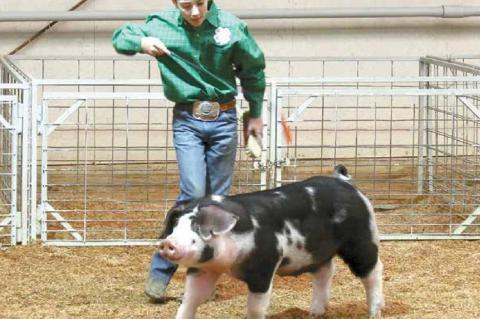 Wetumka local livestock show