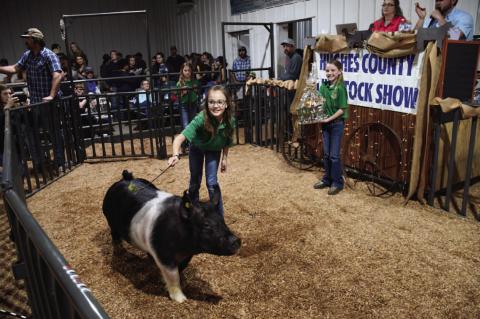 Hughes County Livestock Show and Premium Sale Winners