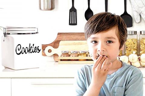 Progressive 5-Year-Old Claims Cookie Crumbs All Over His Face Are Part of Russian Disinformation Campaign