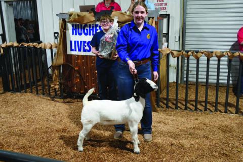 Hughes County Livestock Show