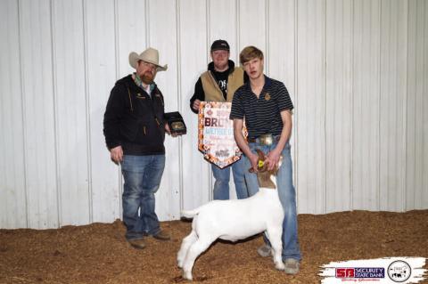 Moss FFA Member Diesel Cook earned Bronze Wether Goat and Champion Senior Goat Showmanship